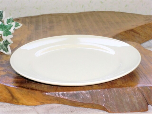 �y�݌ɏ����i�z�X�g�[���z�e���^9�C���`�����~�[�g�M