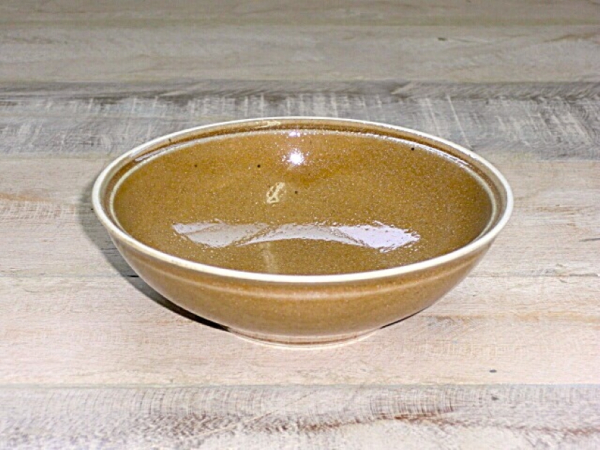 �V�i���� �����^4.5���i�攫�j