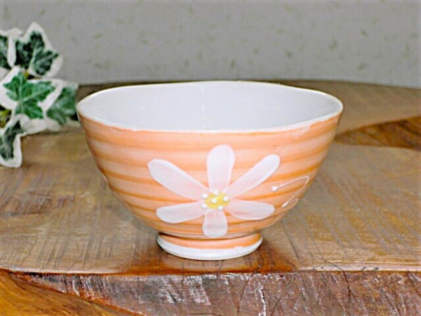 �y�݌ɏ����i�z�ԃs���N�ۘq�i�������q�j