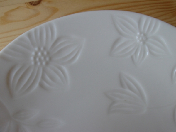 �Ɩ��p �t���|�����@�u�e�B�b�N�@�L���|�g�M