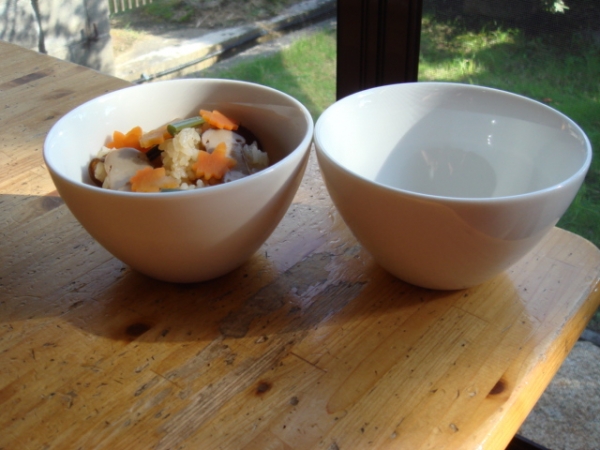 �Ɩ��p FN�@�����Ղ��@�{�|��