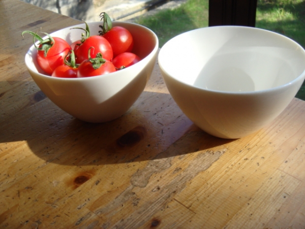 �Ɩ��p FN �f�U�|�g�@�{�|��