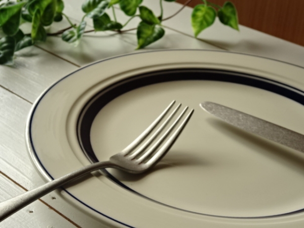 �A�����J���u���[27cm�f�B�i�[