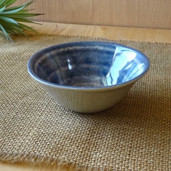 �Ɩ��p �ʏ����@�������i�����~���j