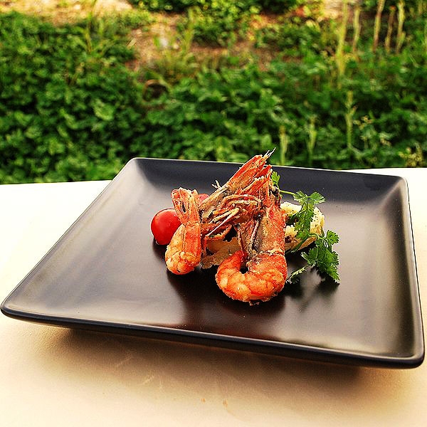 �X�N�G�A�v���[�g24cm�y�����H��z