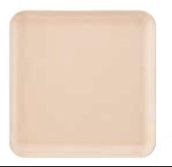 �������� �o�C�I�}�X �����~�� �H�� 21cm�ؗ��p�M �I�[�K�j�b�N �x�[�W��