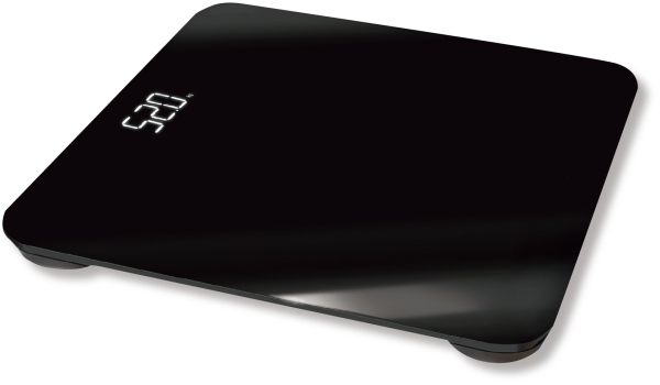 �������� �f�W�^���̏d�v �w���X���[�^�[ �����K���X �Ɩ��p ���^ �R���p�N�g