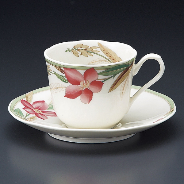 �Ɩ��p C NB�}�h���[�k�R�[�q�[�q�M