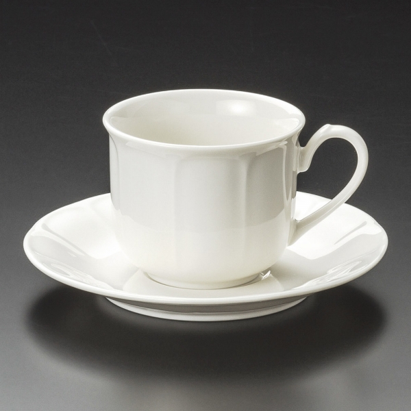 �Ɩ��p C NB�K�[�x���R�[�q�[�q�M