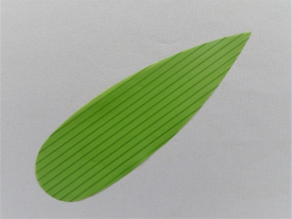 �Ɩ��p �o���� �F���i���j1000��