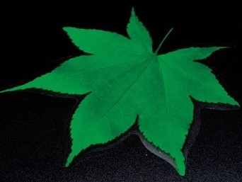 �^�����N���A�V�[�g ���݂�(200���j