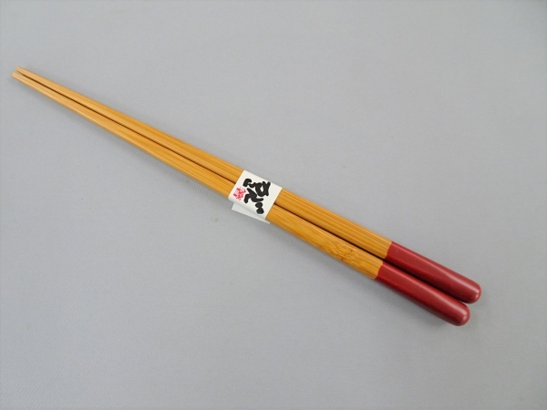 �Ɩ��p ���񂱔��@21�����@��