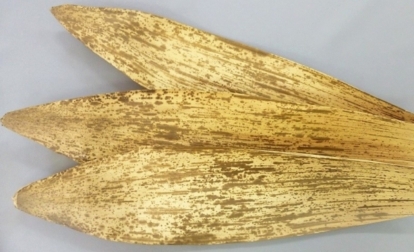 �V�R�|��  ��(16~18�j����(55~60�j�@1������