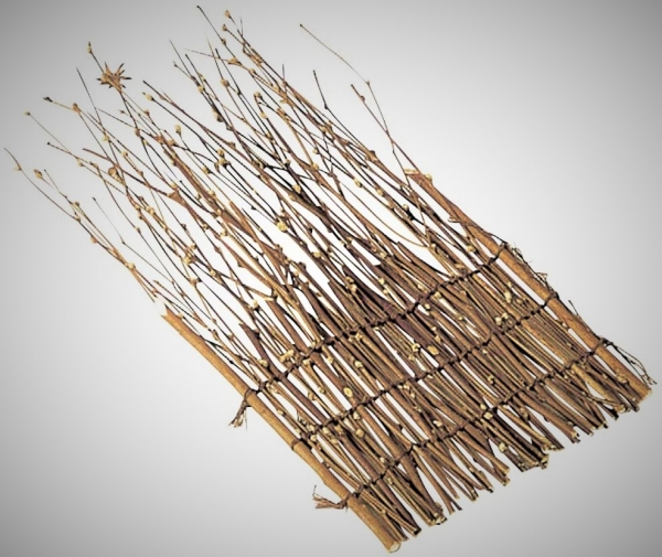 �Ɩ��p ���X�_���@12��24����