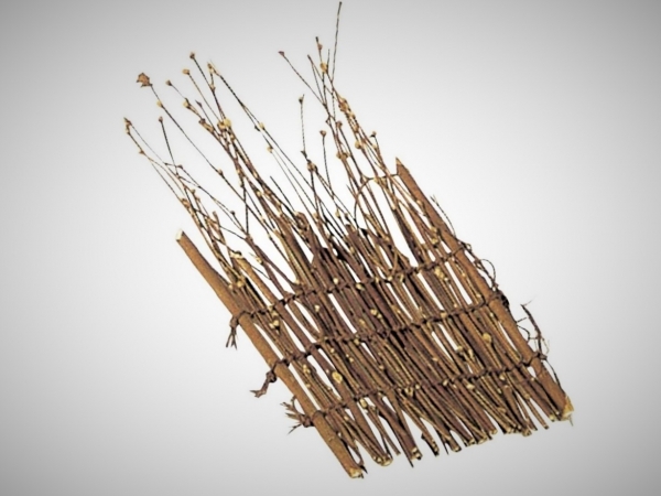 �Ɩ��p ���X�_���@8��16����