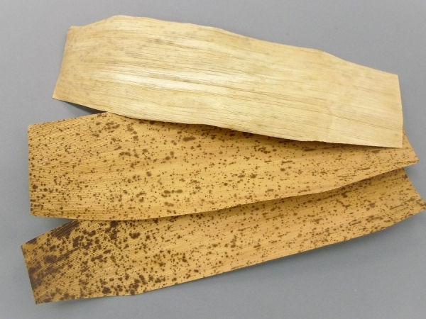 �|��J�b�g�@9��28�@2����