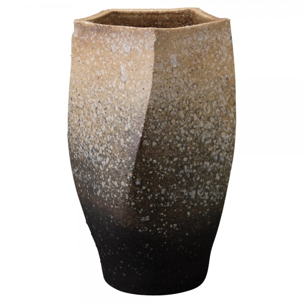 �Ɩ��p �P���ā@���q�ό܊p�i�M�y�āj