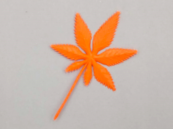 ���ԁ@�g�t �ԁ@1000��