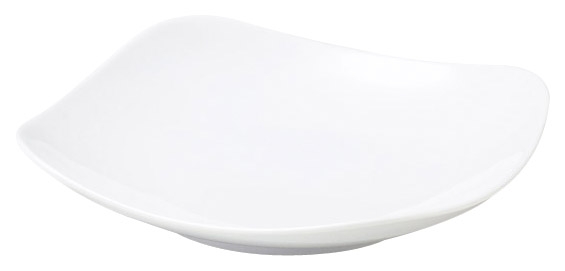 �y�X�N�G�A�z20cm�[�M�iA�EB���i���j