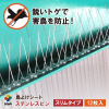 Ɩp 悯V[g@XeXs@X@12