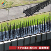 Ɩp 悯V[g@h@@ng@