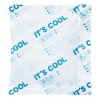 業務用 保冷剤　IT’S　COOL　Ｉ−30　ナイロンポリタイプ　１